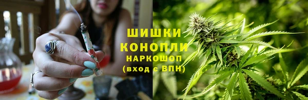 твердый Вяземский