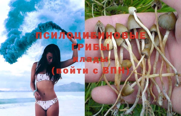 тгк Вязники