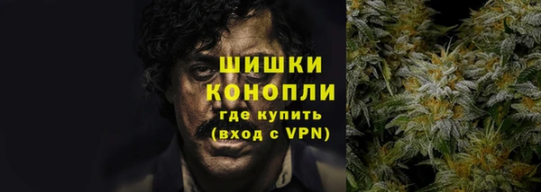 твердый Вяземский