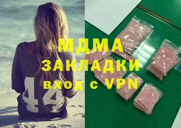 шишки Бородино